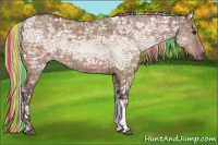 Horse Color:Painted Silver Brown Ice Dun 