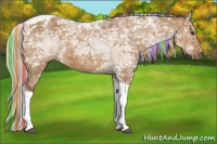Horse Color:Painted Silver Buckskin Ice Dun Tobiano 