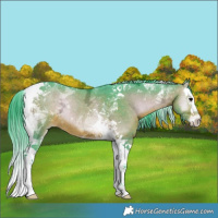 Horse Color:Watercolor Brown Ice Onyx Splash Tobiano Rabicano 