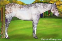 Horse Color:Painted Buckskin Ice Tobiano 