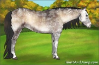 Horse Color:Plaid  Brown Ice Onyx Sabino 