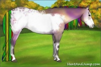 Horse Color:Painted Buckskin Ice Onyx Frame Rabicano 