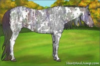 Horse Color:Nacre White Spotted Black Ice 