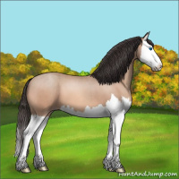 Horse Color:Sable Champagne Roan Splash 