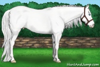 Horse Color:Silver Smoky Creme Dun 