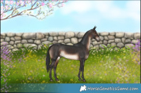 Horse Color:Brown 