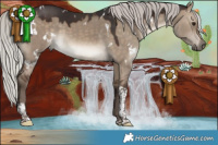 Horse Color:White Spotted Silver Brown Dun Tobiano