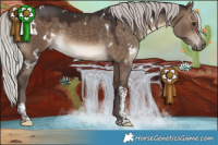 Horse Color:White Spotted Silver Brown Dun Tobiano