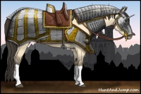 Horse Color:Buckskin Roan Dun 