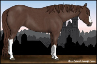 Horse Color:Gray Red Roan 