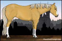 Horse Color:Gray Palomino 