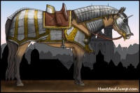 Horse Color:Buckskin Frame 