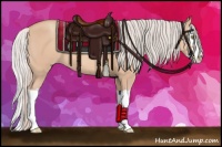 Horse Color:Silver Amber Champagne Splash