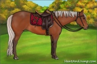 Horse Color:Silver Bay 