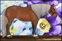 Horse Color:Silver Bay 