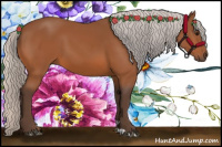 Horse Color:Silver Bay 