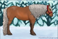 Horse Color:Silver Bay 