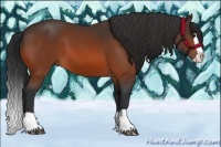 Horse Color:Brown Splash