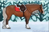 Horse Color:Silver Brown Splash 