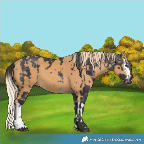 Horse Color:Platinum Buckskin  and Chestnut Splash 