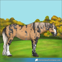 Horse Color:Platinum Buckskin and Chestnut Splash