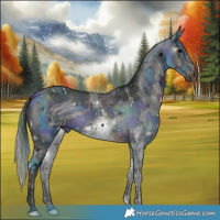 Horse Color:ERROR: UNKNOWN ANOMALY