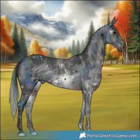 Horse Color:ERROR: UNKNOWN ANOMALY