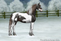 Horse Color:Liver Chestnut Tobiano Frame 