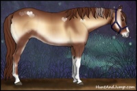 Horse Color:Red Onyx Rabicano 