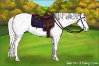 Horse Color:Cremello Roan Dun 