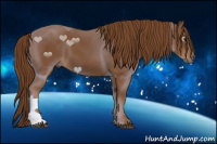 Horse Color:Gray Chestnut