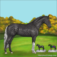 Horse Color:Silver Smoky Black Chinchilla 