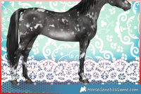 Horse Color:Gray Platinum White Spotted Brown Dun 