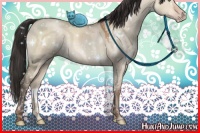 Horse Color:White Spotted Sable Champagne Dun 