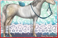 Horse Color:White Spotted Silver Buckskin Pearl Dun