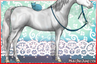 Horse Color:Gray Platinum White Spotted Silver Sable Cream Champagne Pearl Dun