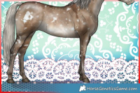 Horse Color:Gray White Spotted Silver Brown Pearl Dun 