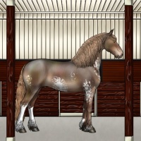 Horse Color:White Spotted Liver Chestnut Sabino 