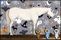 Horse Color:Perlino Dun Splash