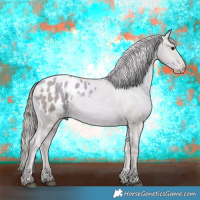 Horse Color:Watercolor Black Pearl Appaloosa Rabicano 