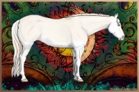 Horse Color:Perlino Dun Splash