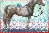 Horse Color:Chocolate Palomino Tobiano 