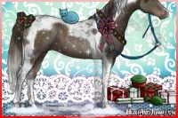 Horse Color:Liver Chestnut Tobiano