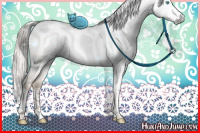 Horse Color:Gray Gold Cream Champagne Pearl Splash Tobiano 