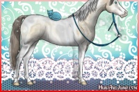 Horse Color:Chocolate Palomino Ice Pearl Onyx Sabino Tobiano Rabicano 