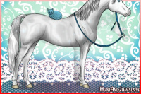 Horse Color:Gray Chocolate Palomino Ice Pearl Onyx Sabino Tobiano 