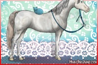 Horse Color:Chocolate Palomino Ice Pearl Dun Sabino Tobiano Rabicano