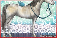 Horse Color:White Spotted Chocolate Palomino Ice Onyx Mushroom