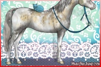 Horse Color:White Spotted Chocolate Palomino Ice Onyx Mushroom Brindle