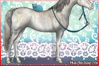 Horse Color:White Spotted Chocolate Palomino Ice Pearl Onyx Mushroom Rabicano Brindle